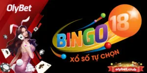 Bí Quyết Chơi Xổ Số Bingo Dễ Thắng Lớn Từ Chuyên Gia