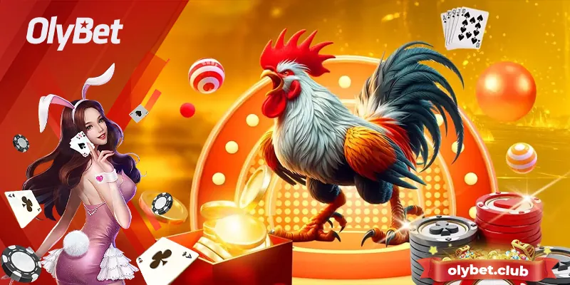 Cá Cược Đá Gà Olybet - Sân Chơi Đẳng Cấp Của Kê Thủ Châu Á 1 Giới thiệu về sân chơi cá cược đá gà Olybet